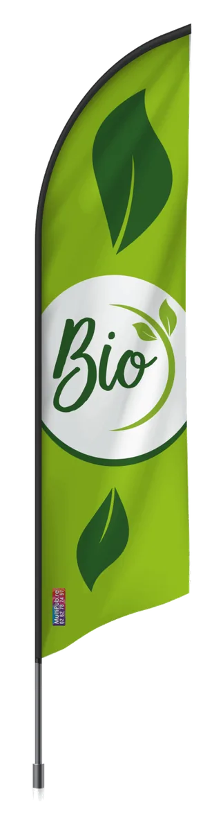 Bio